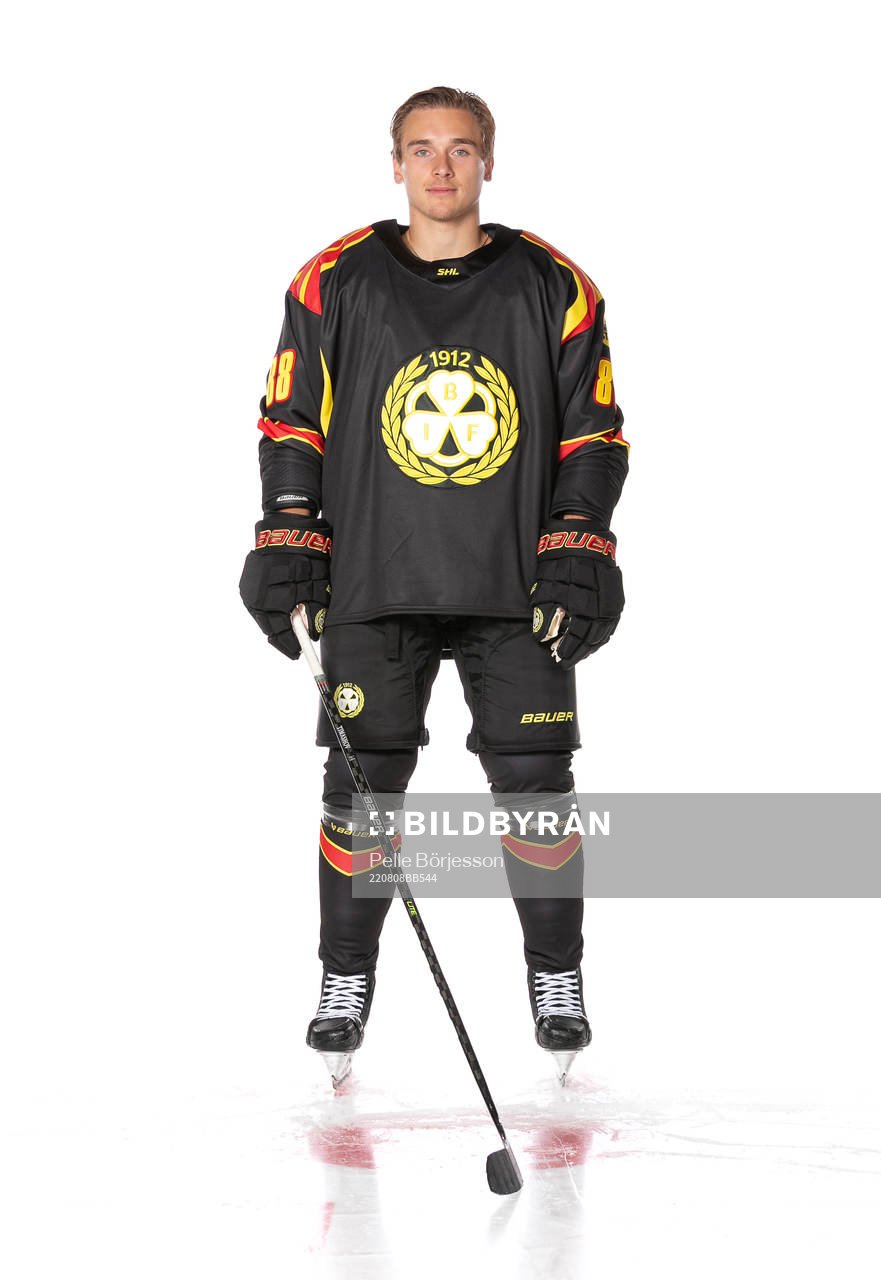 Brynäs Dmytro Timashov
