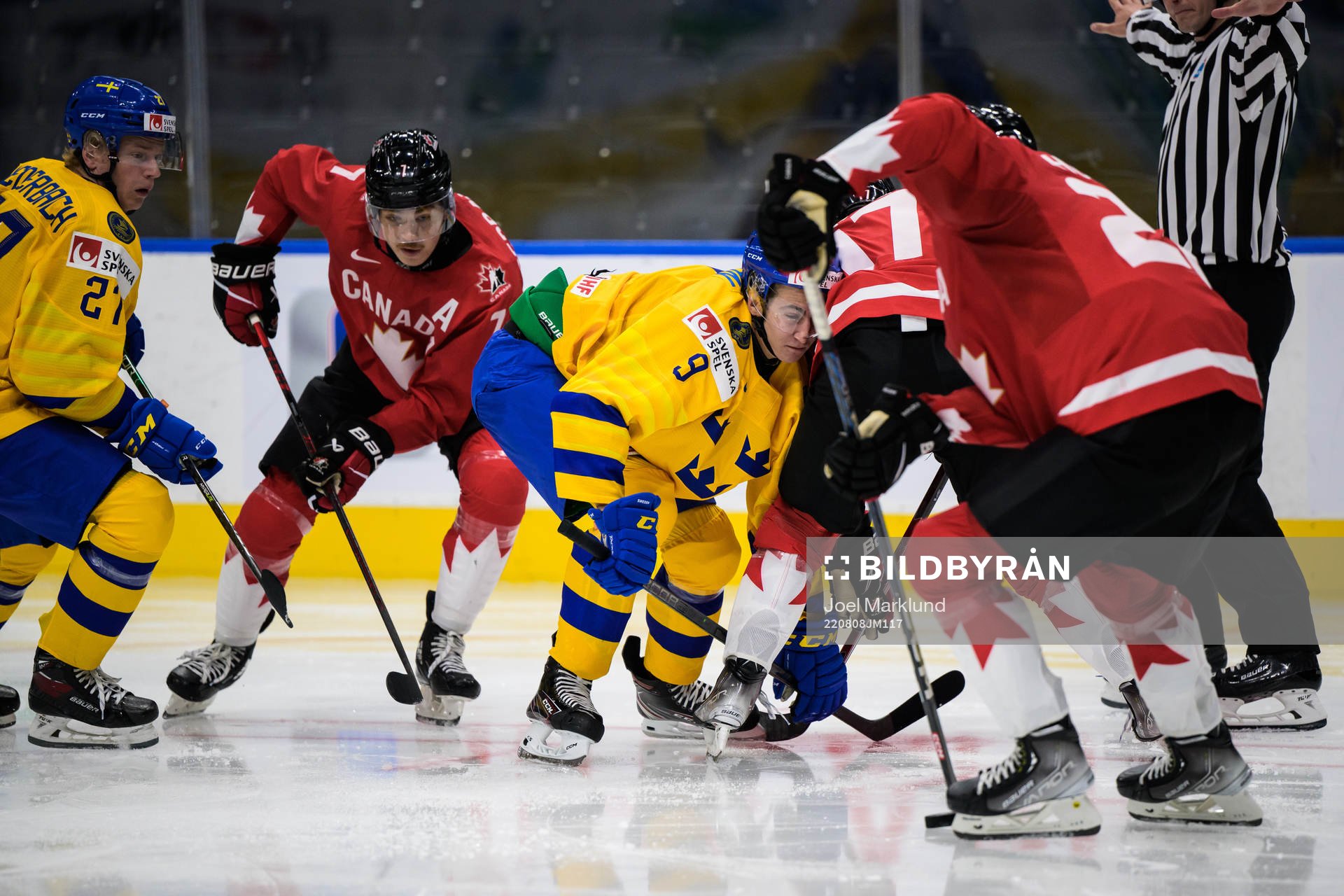 Theodor Niederbach and Daniel Ljungman of Sweden against