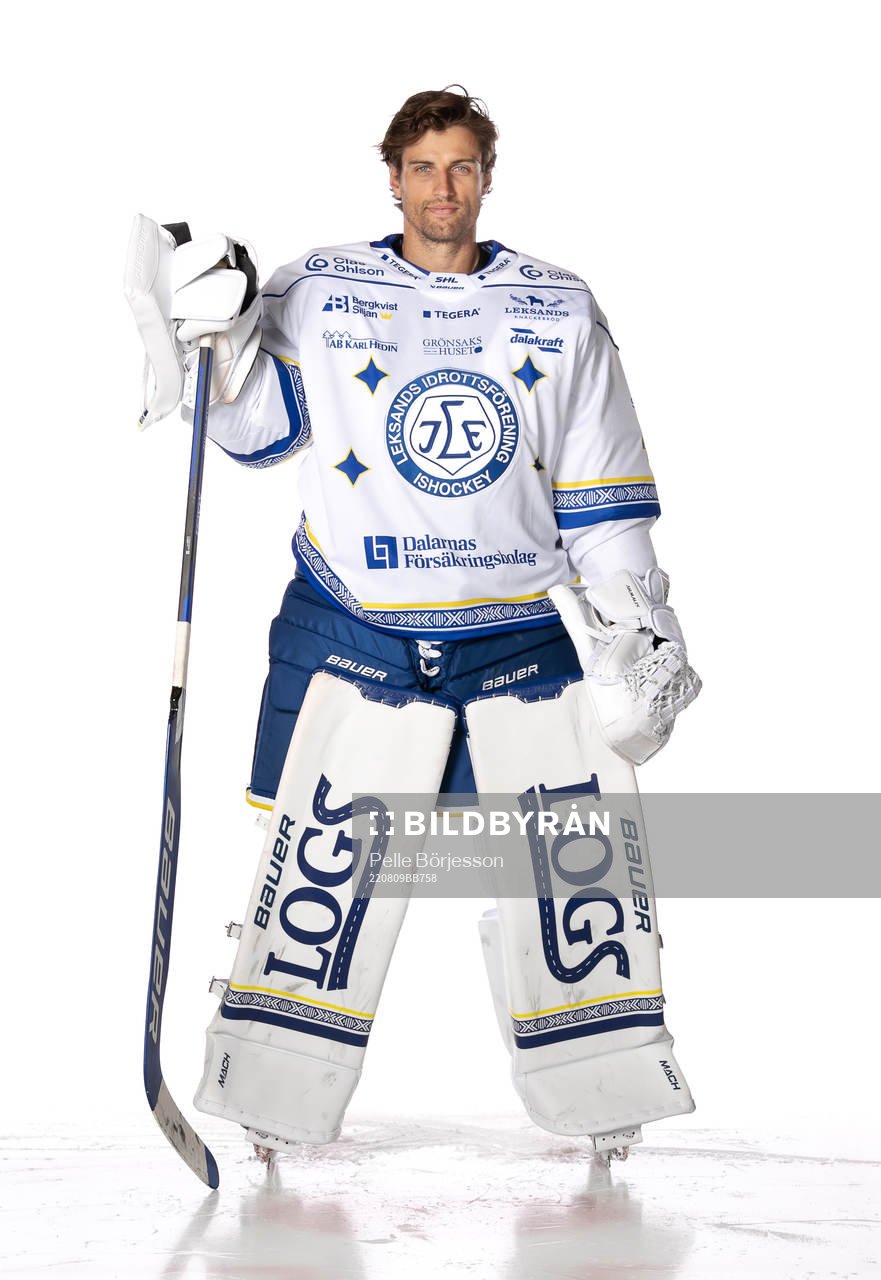 Leksands Mantas Armalis