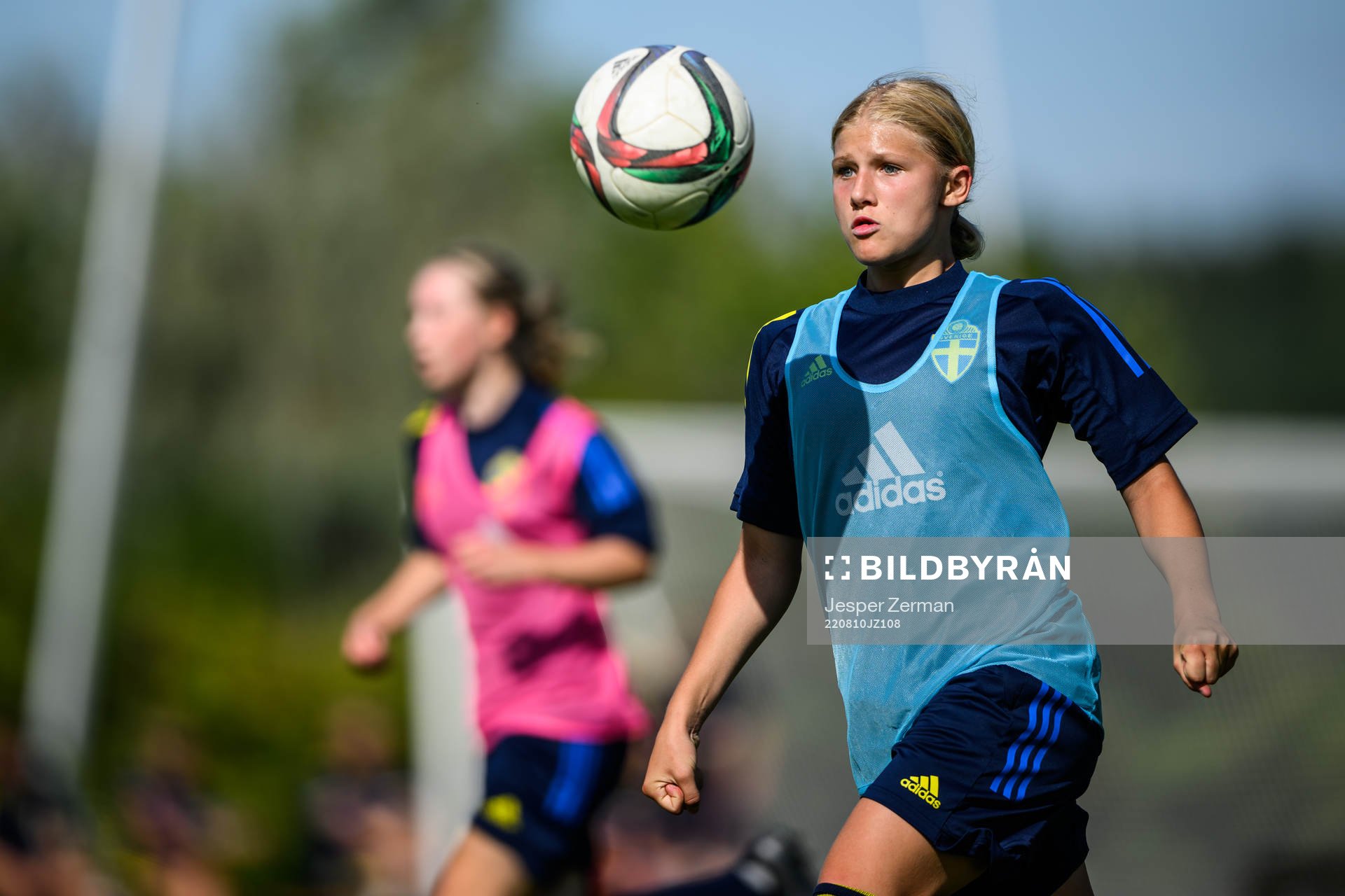 Alma Larsson