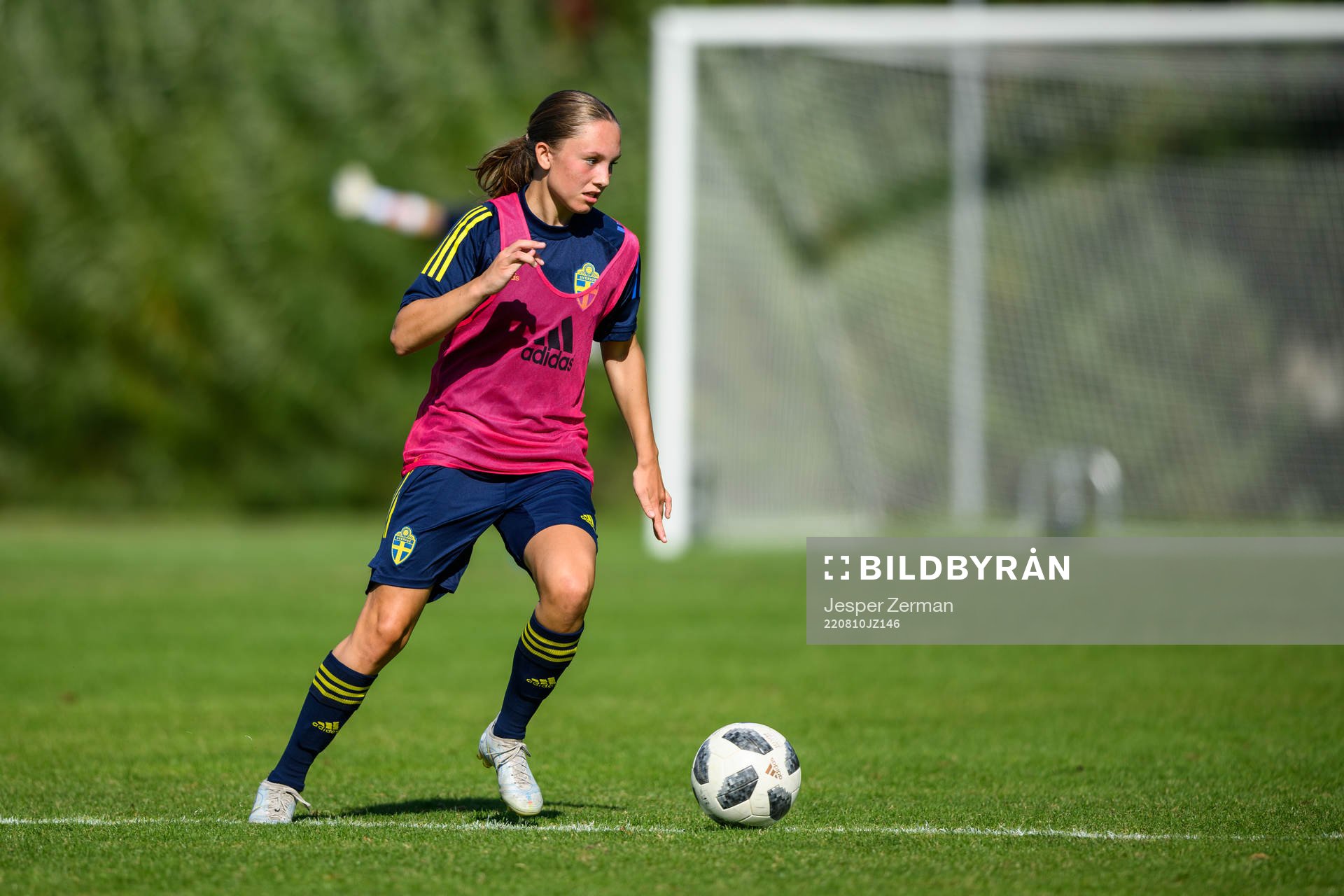 Nova Rolfsson