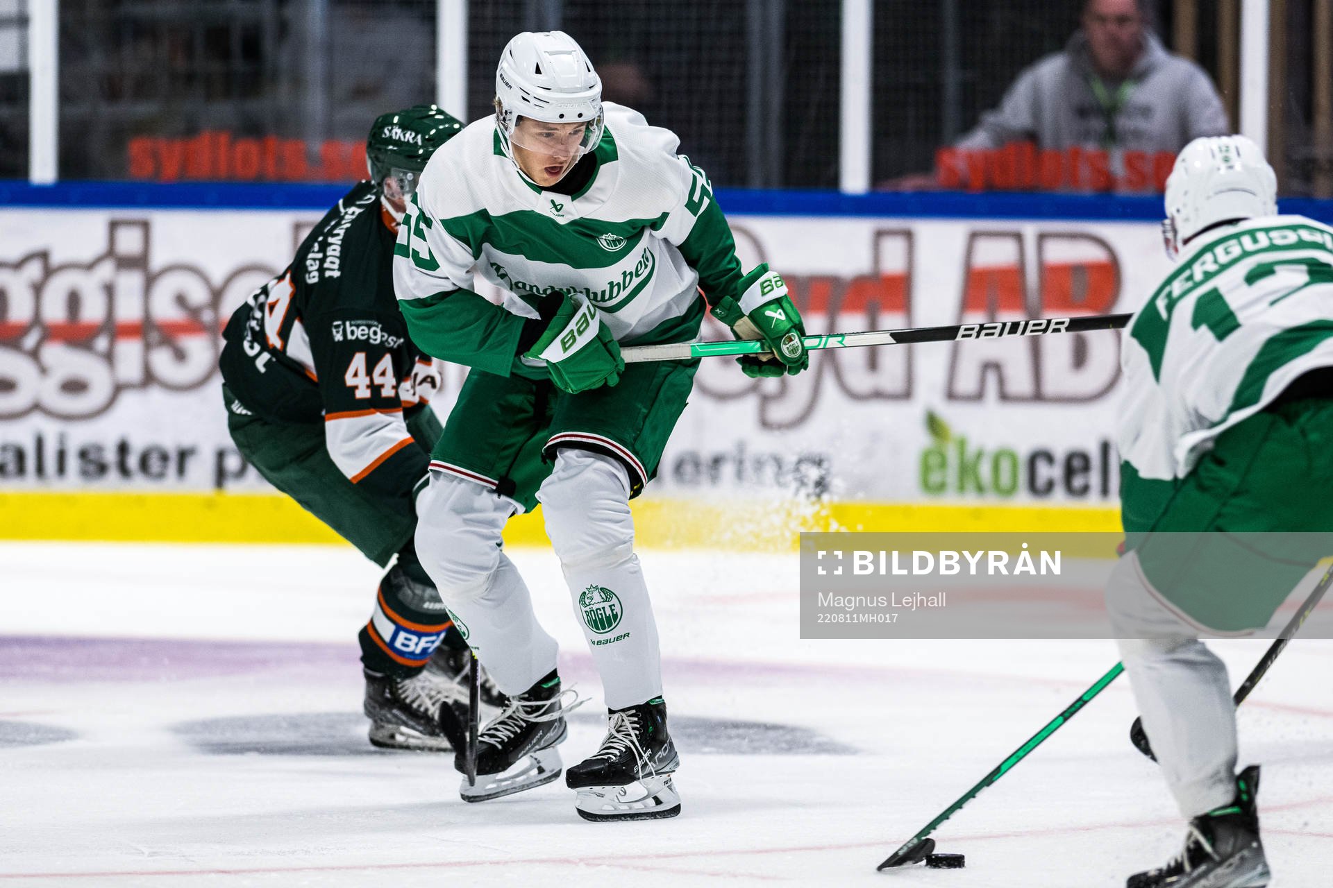 Rögles William Strömgren