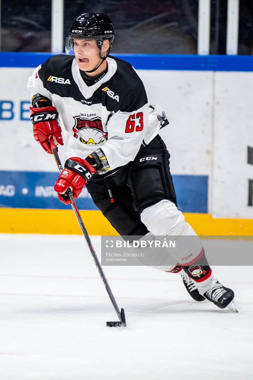 Malmö Redhawks Fredrik Händemark