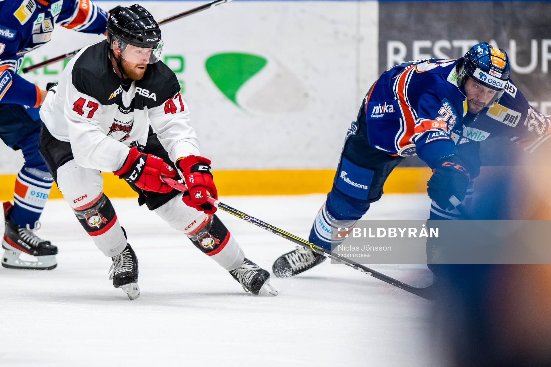 Malmö Redhawks Joakim Ryan