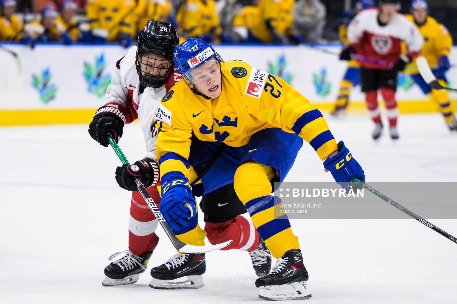 Ian Scherzer of Austria and Theodor Niederbach of Sweden