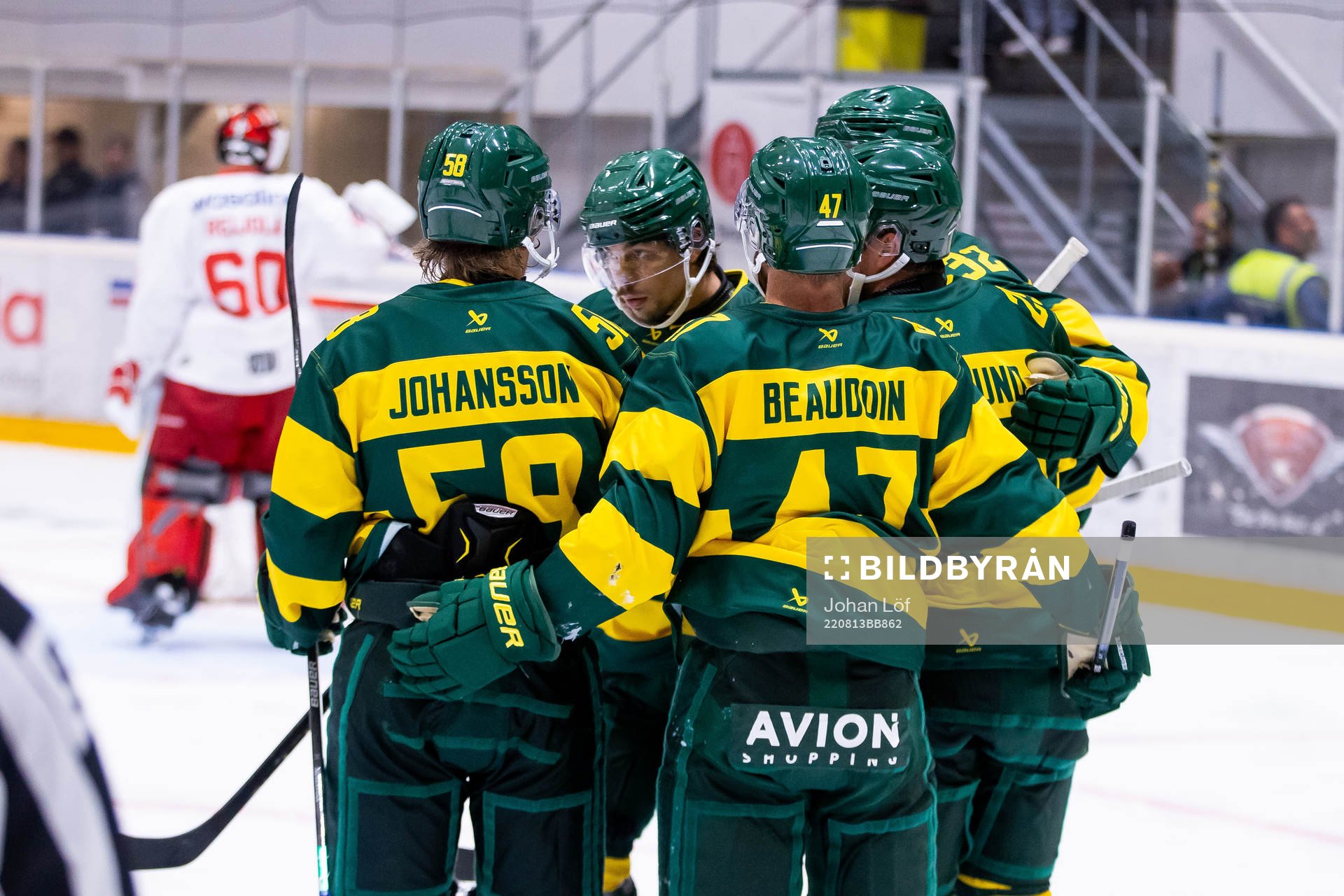 Björklöven jublar
