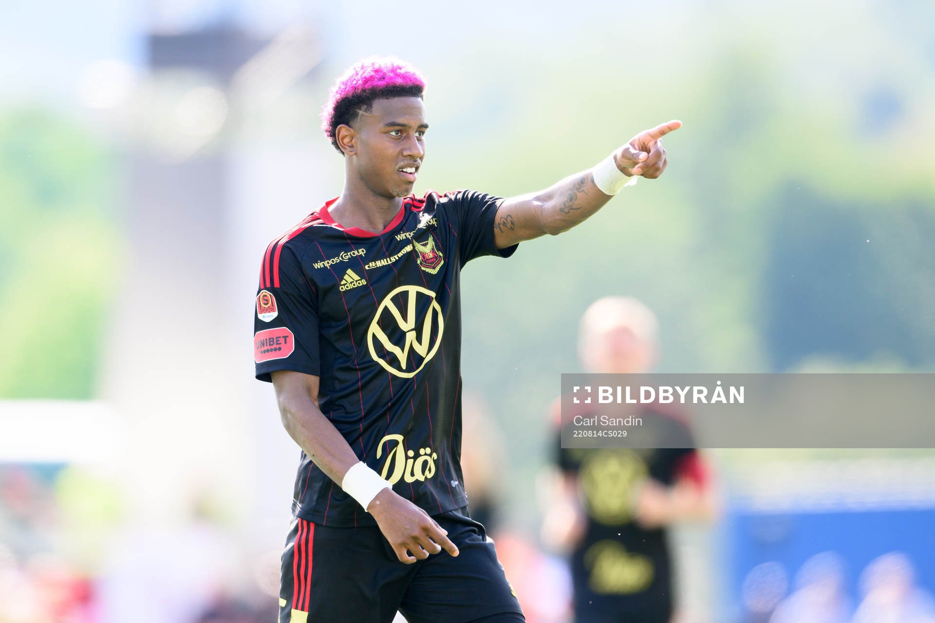 Östersunds Chovanie Amatkarijo jublar
