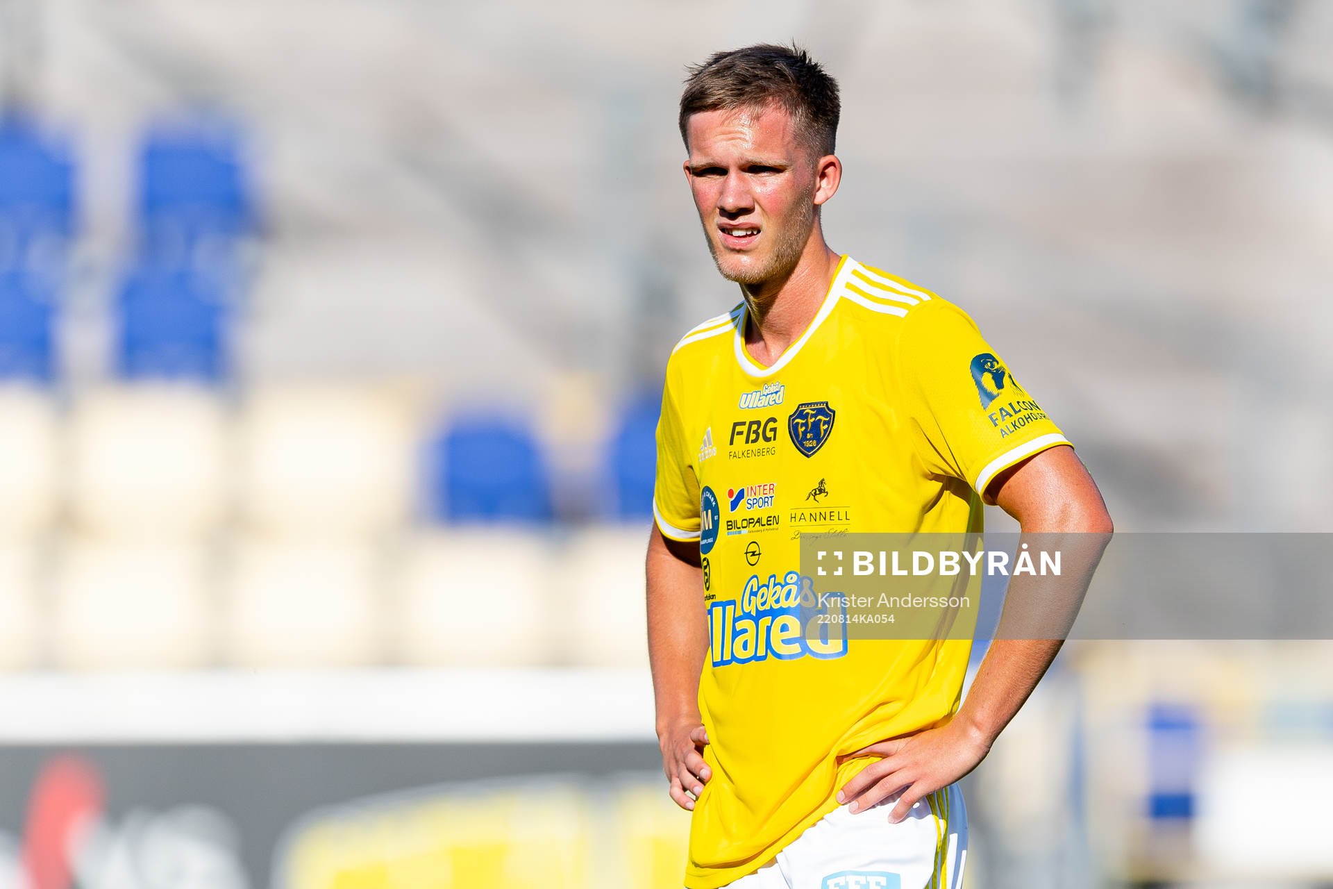 Falkenbergs Tim Stålheden
