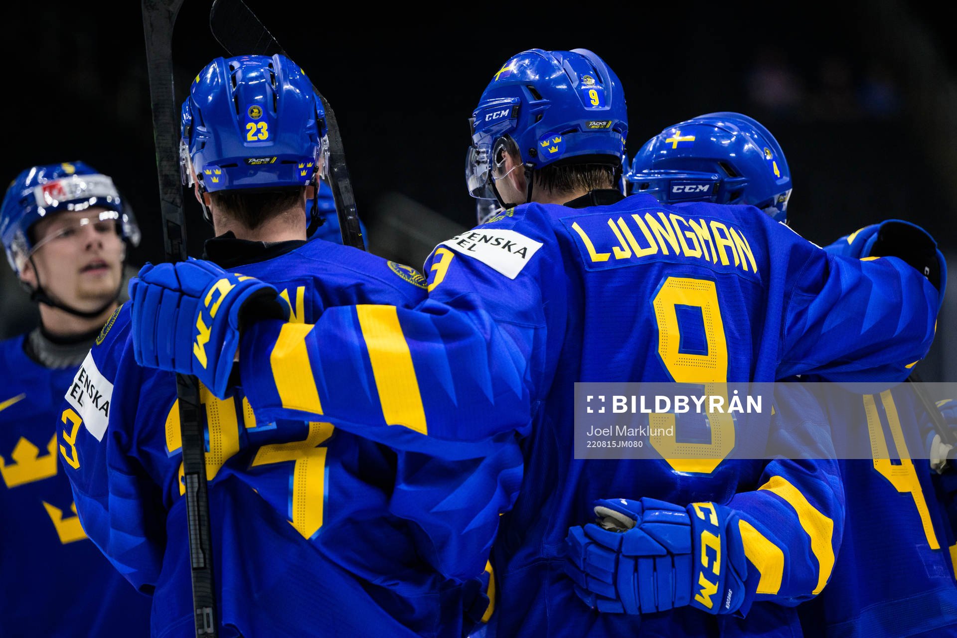 Daniel Ljungman of Sweden celebrates with teammates