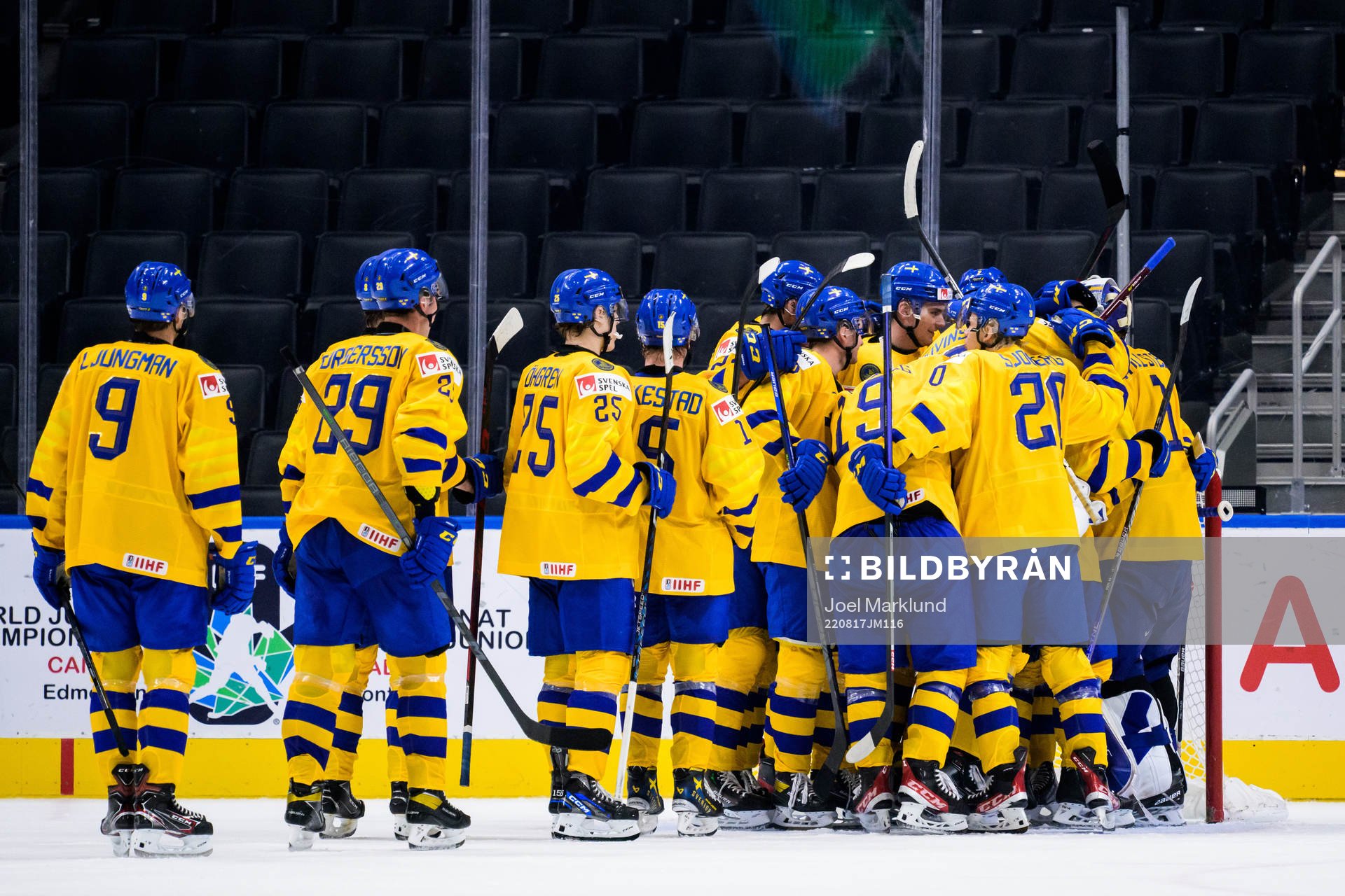 The Swedish players celebrate