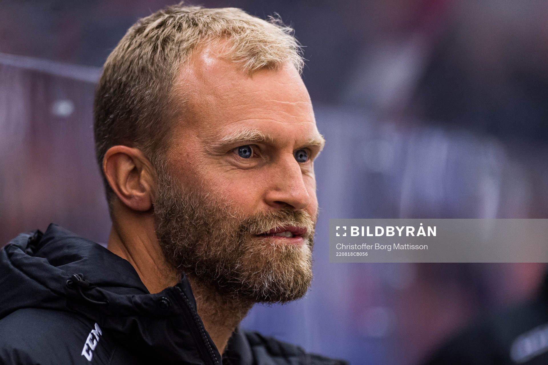 Malmö Redhawks assisterande tränare Mathias Tjärnqvist