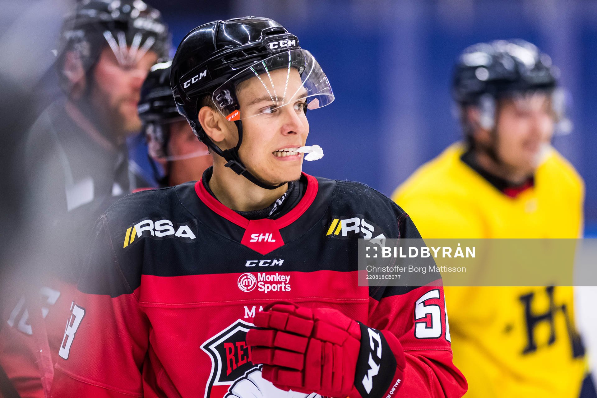Malmö Redhawks Noah Schalin