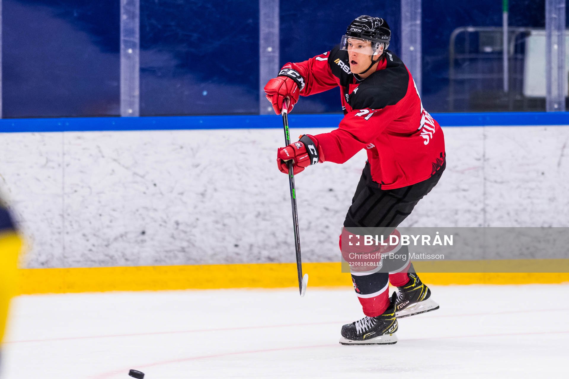 Malmö Redhawks Emil Sylvegård