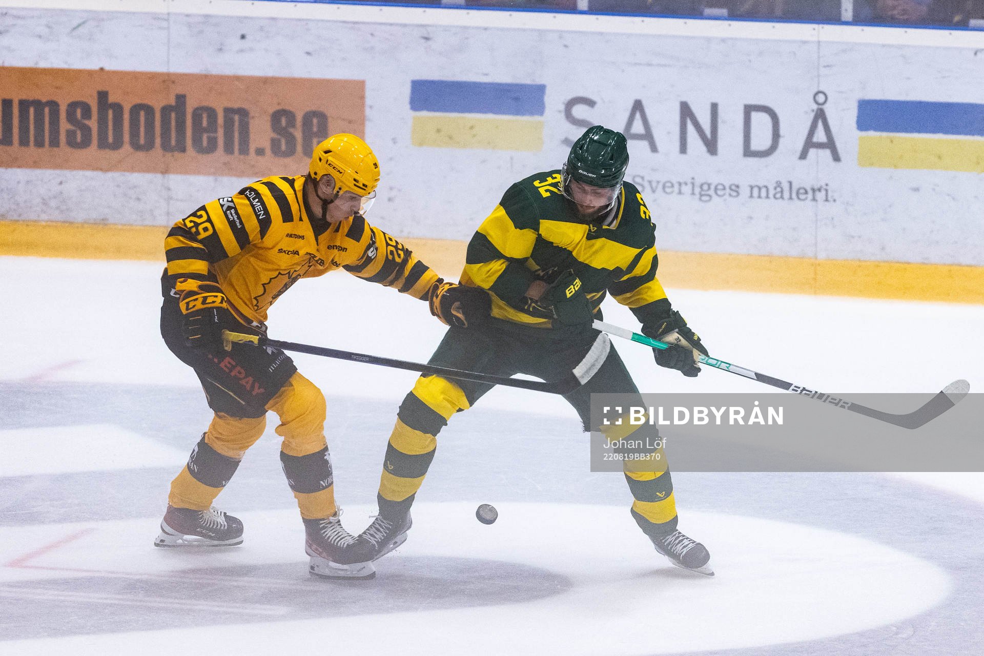 Skellefteås Albin Sundsvik och Björklövens Jacob Olofsson