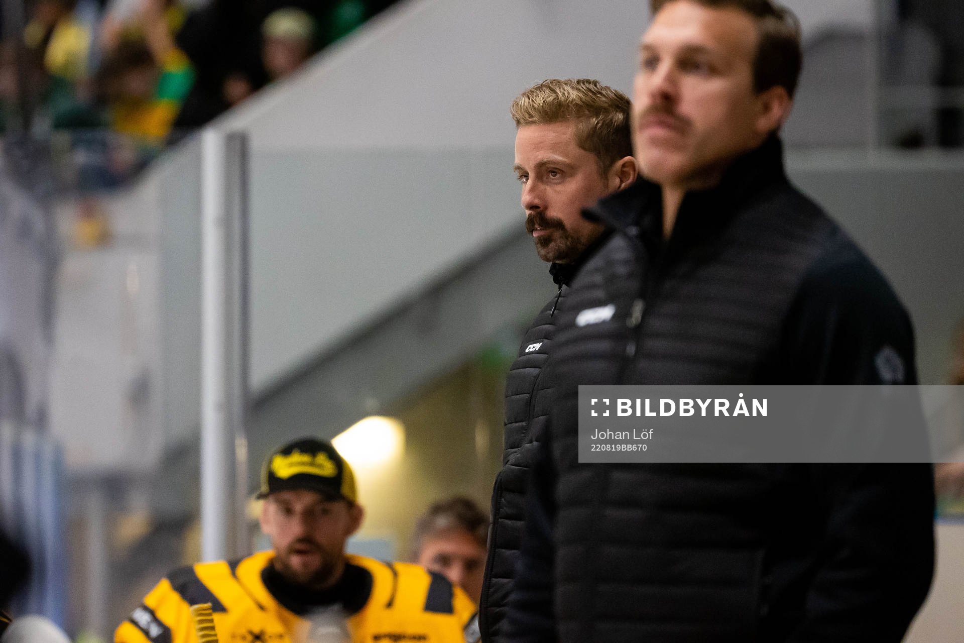 Skellefteås assisterande Andreas Falk