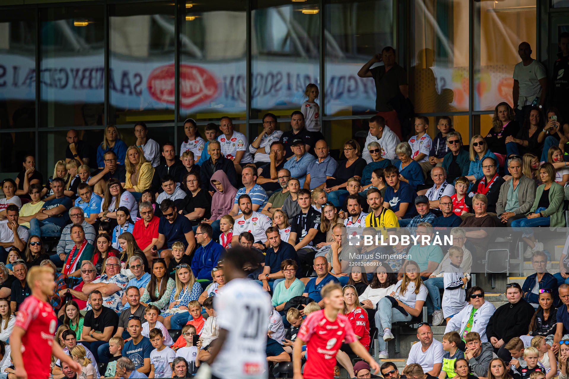 Spectators in the stands