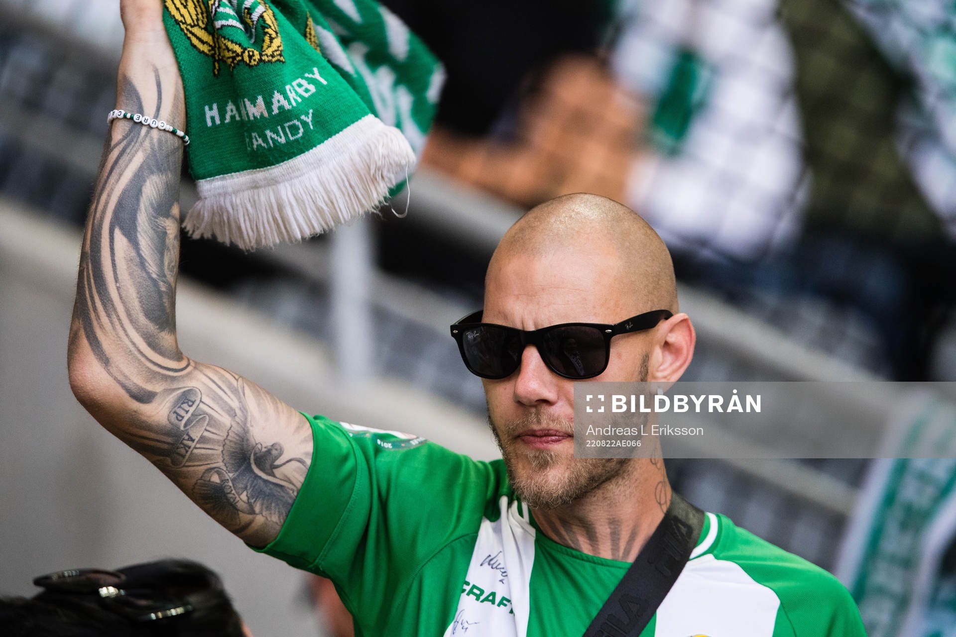 En supporter till Hammarby