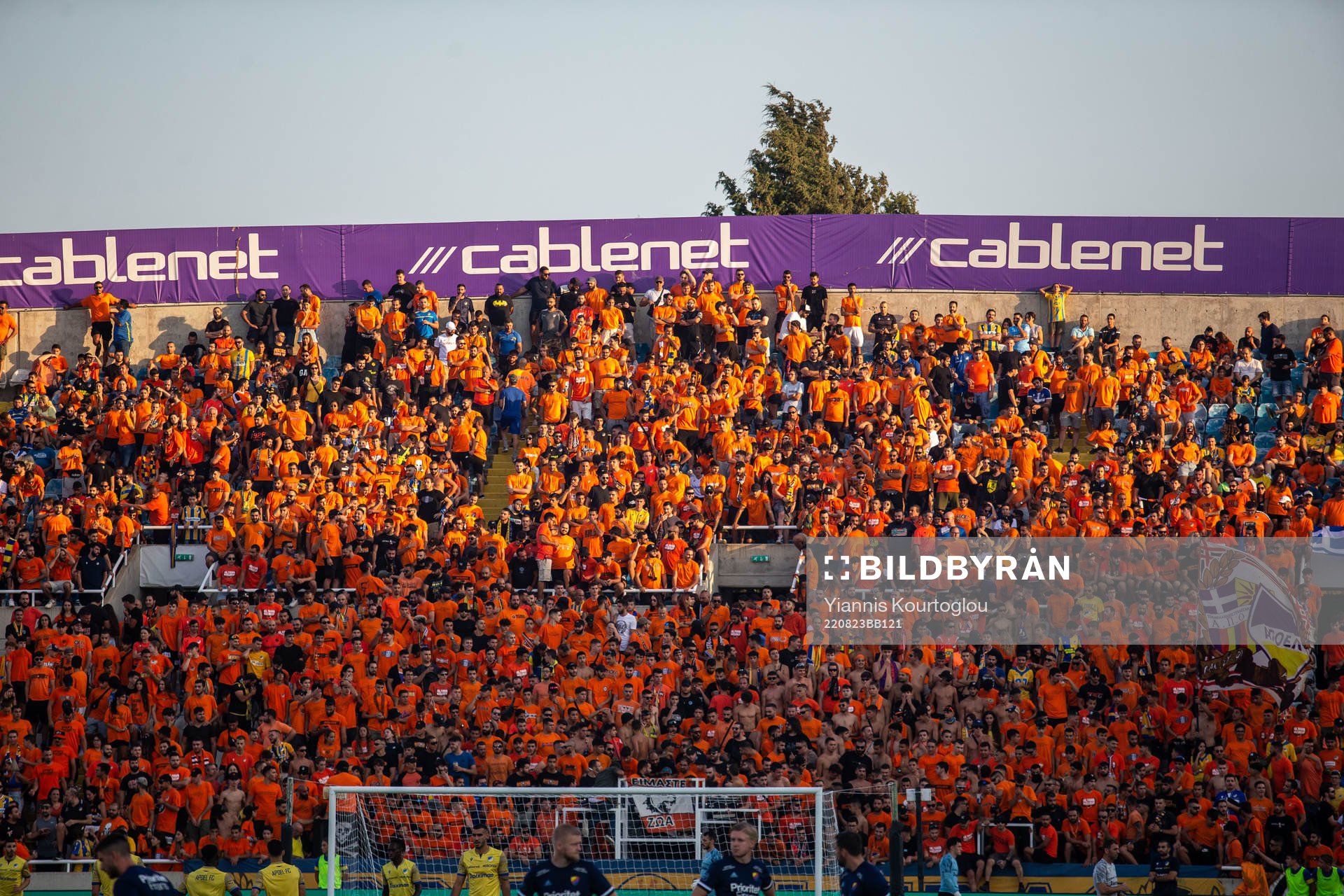 Supporters of Apoel