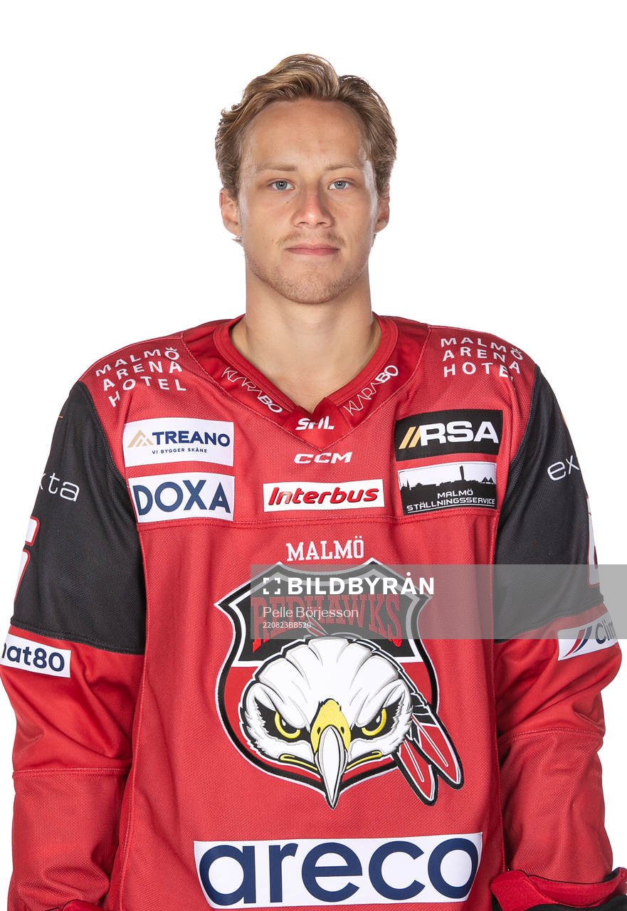 Malmös Theodor Johnsson