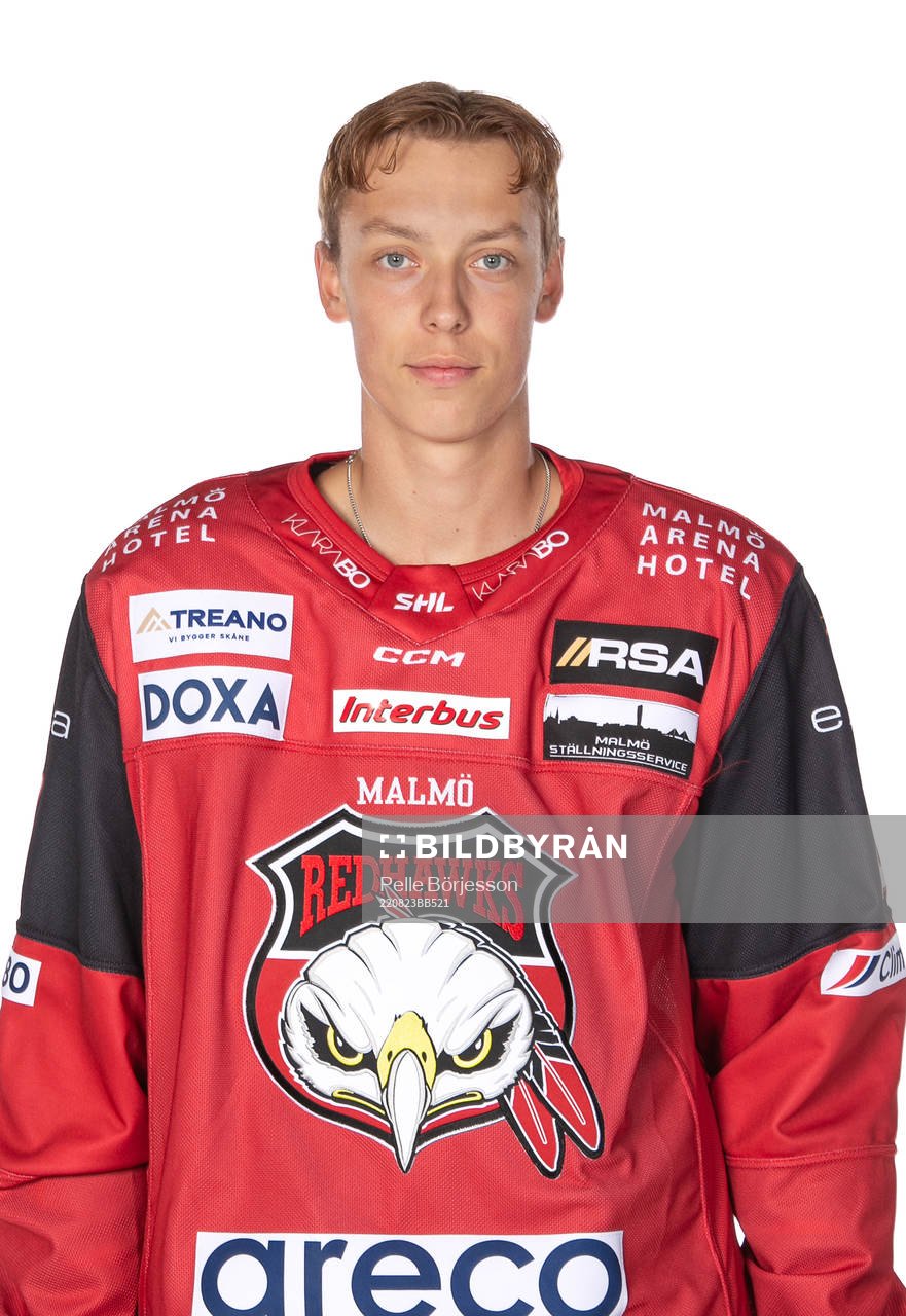 Malmös William von Barnekow