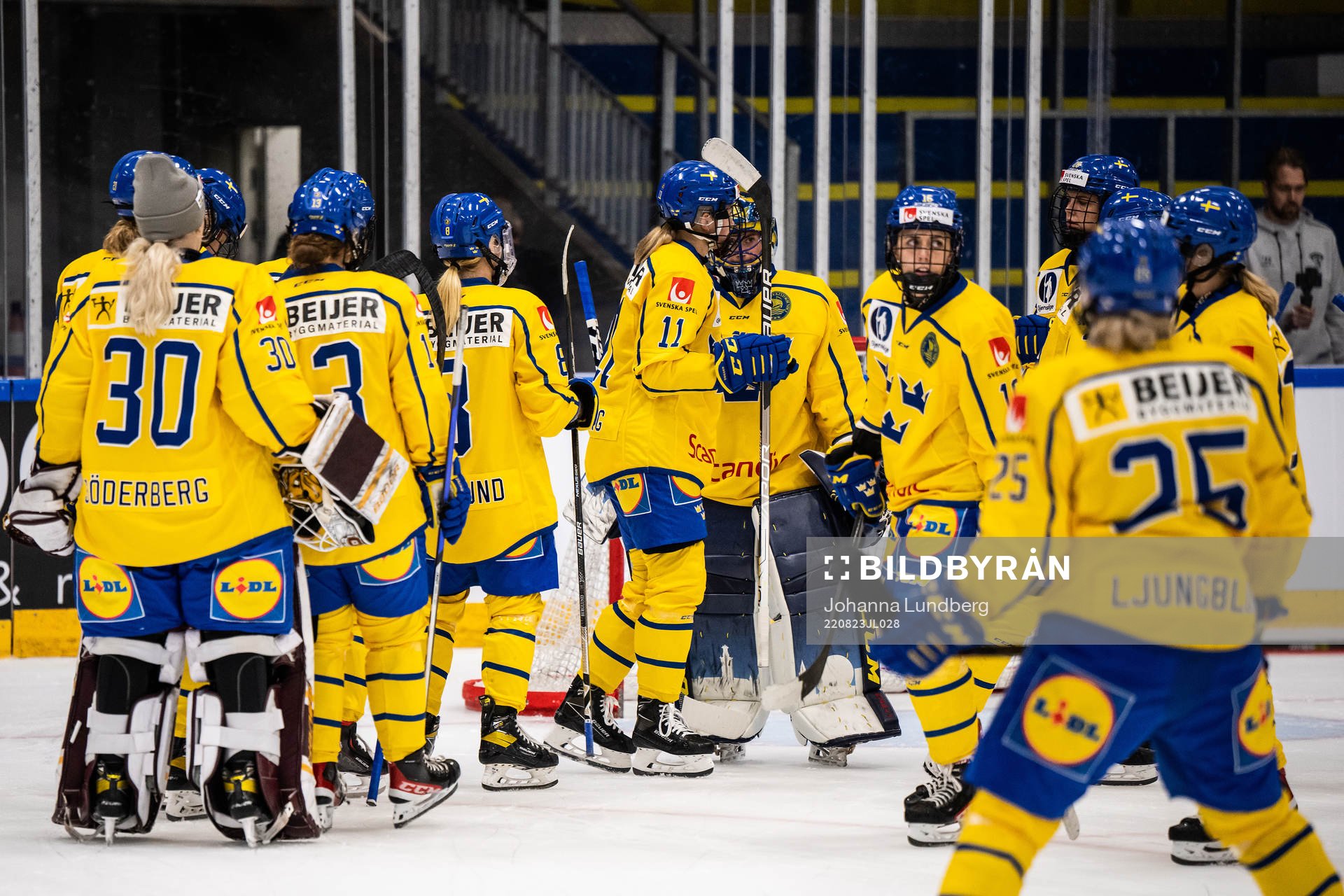 Players of Sweden