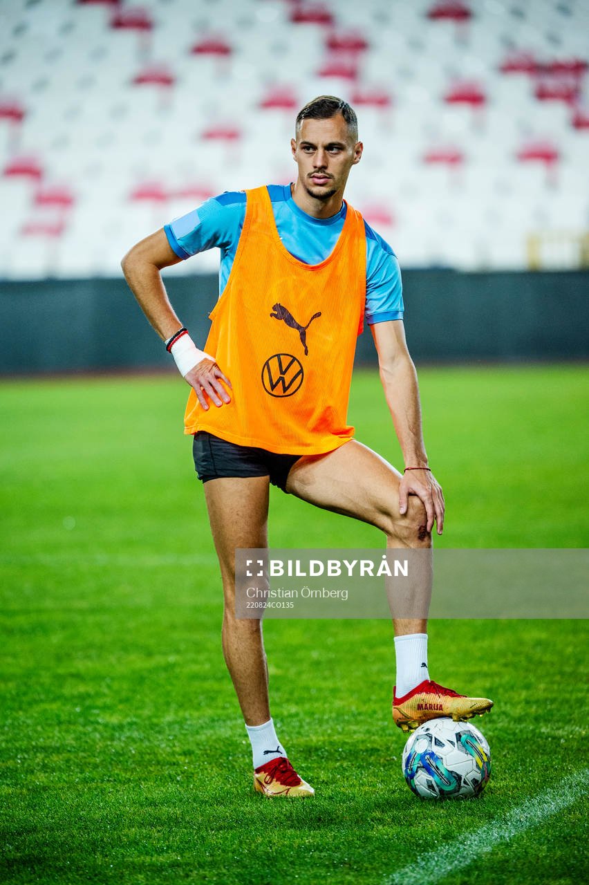 Veljko Birmancevic