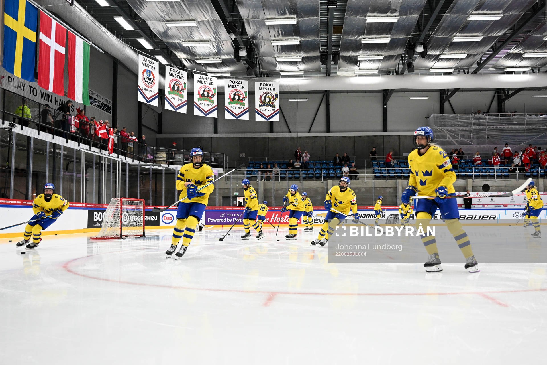 Players of Sweden