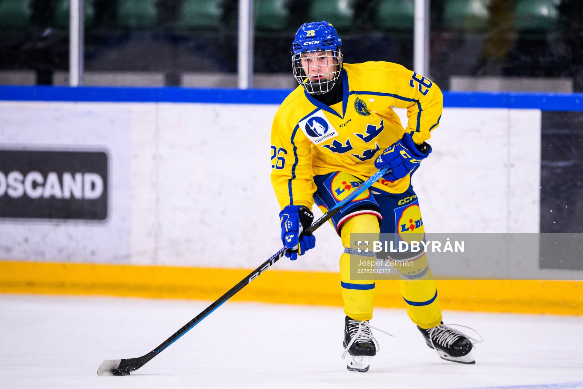 Sveriges Alexander Zetterberg