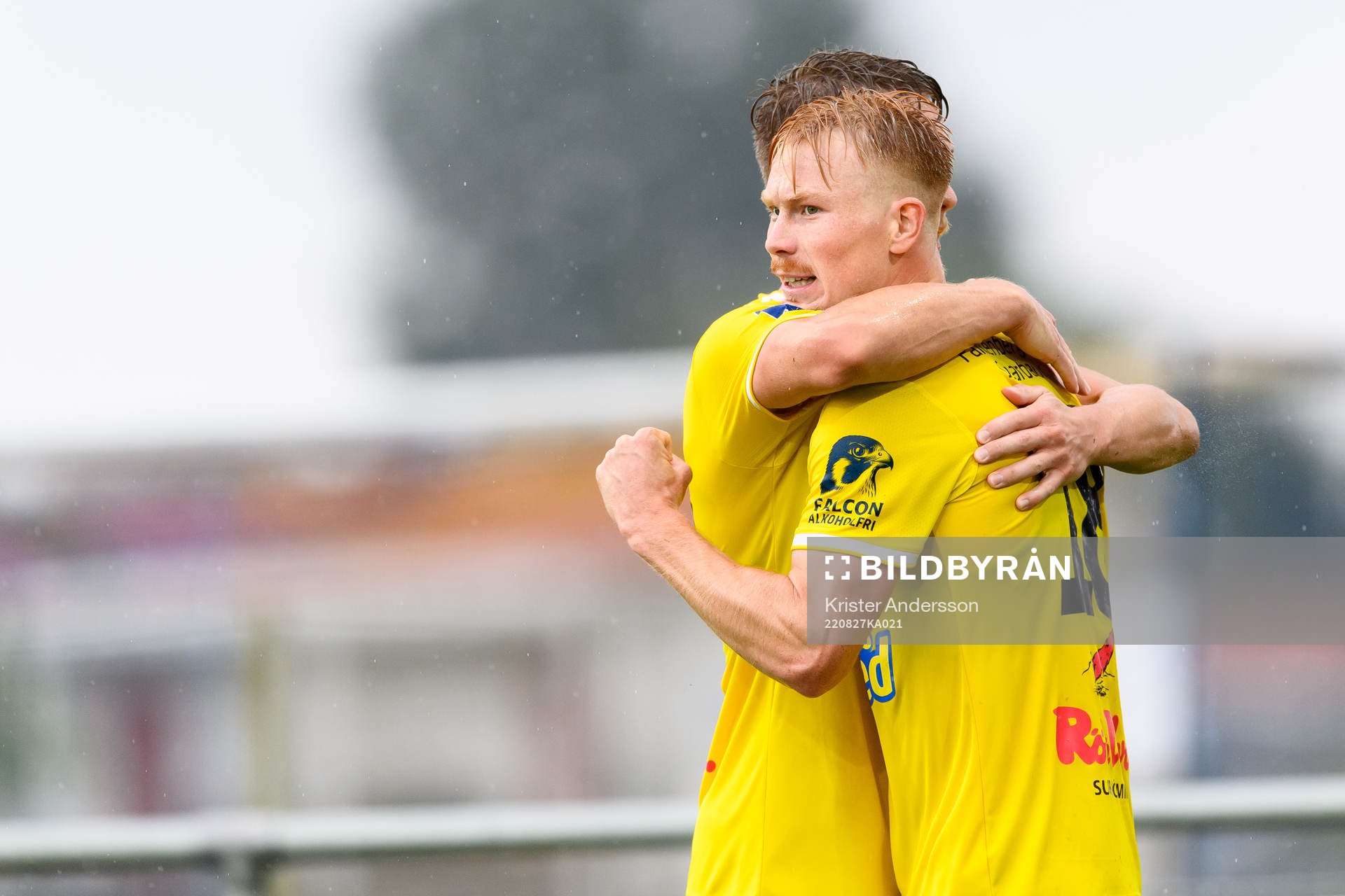 Falkenbergs Linus Borgström jublar