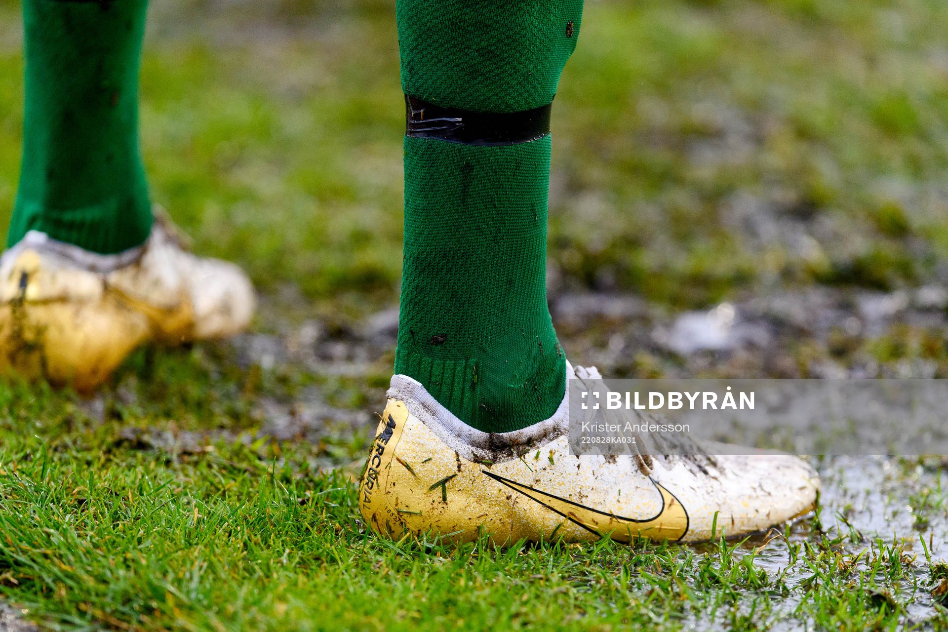 Regn