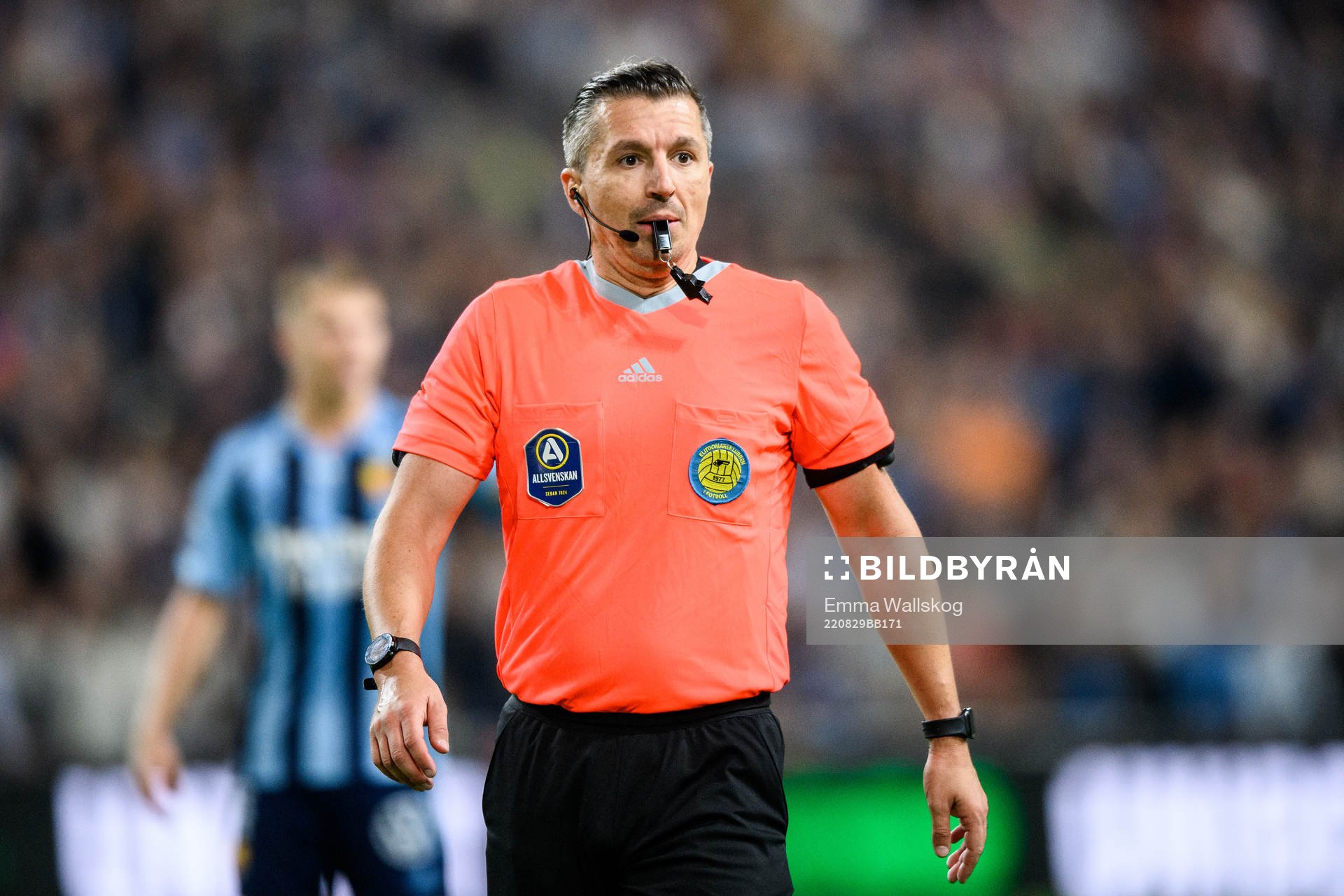 domare Bojan Pandzic