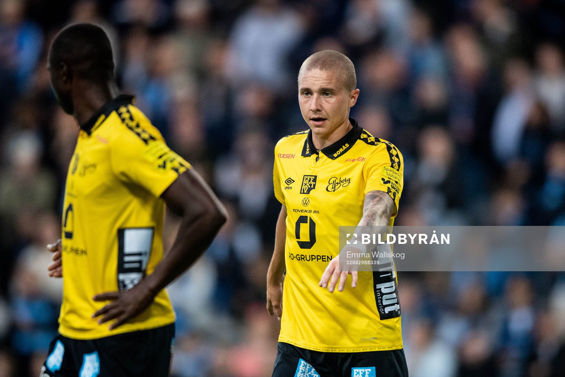 Elfsborgs Sebastian Holmen