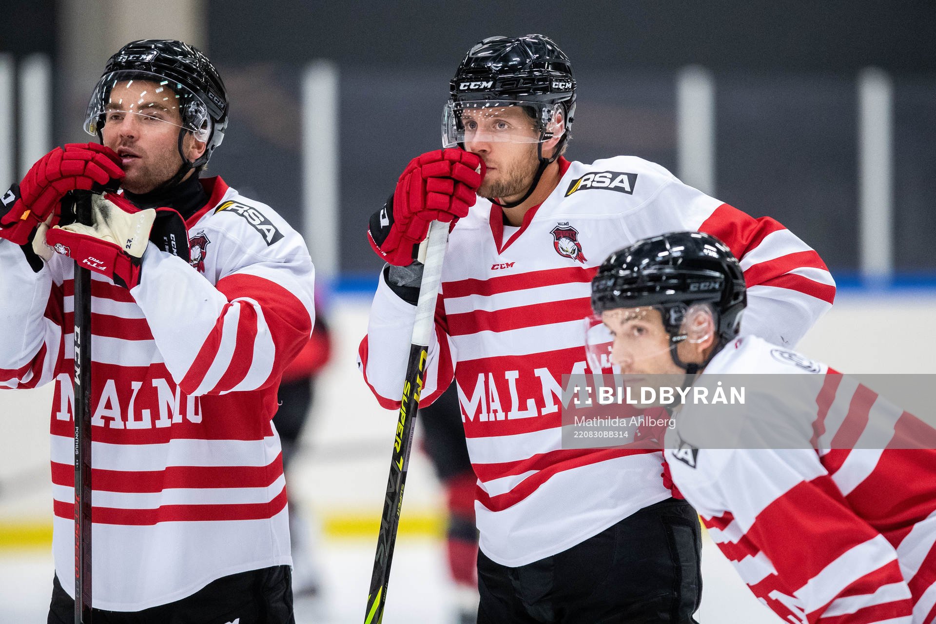 Ponthus Westerholm, Carl Persson och Pathrik Westerholm