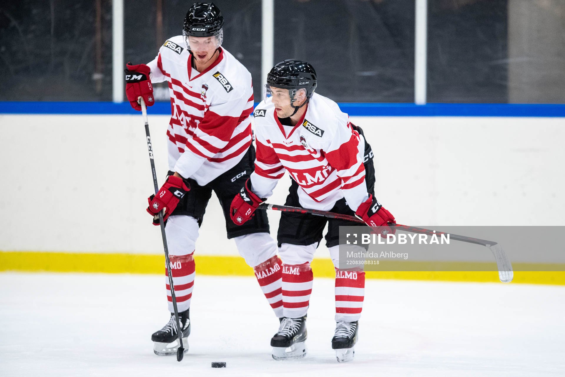 Adam Ollas Mattsson och Pathrik Westerholm