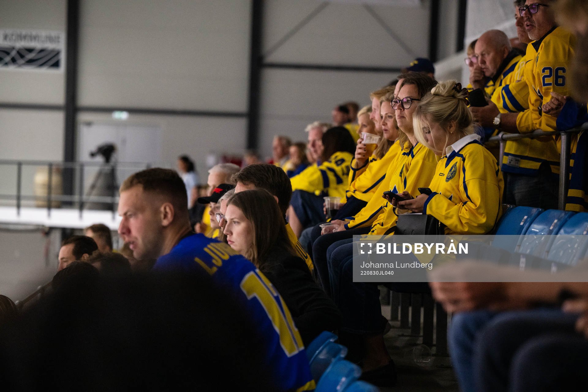 Fans of Sweden
