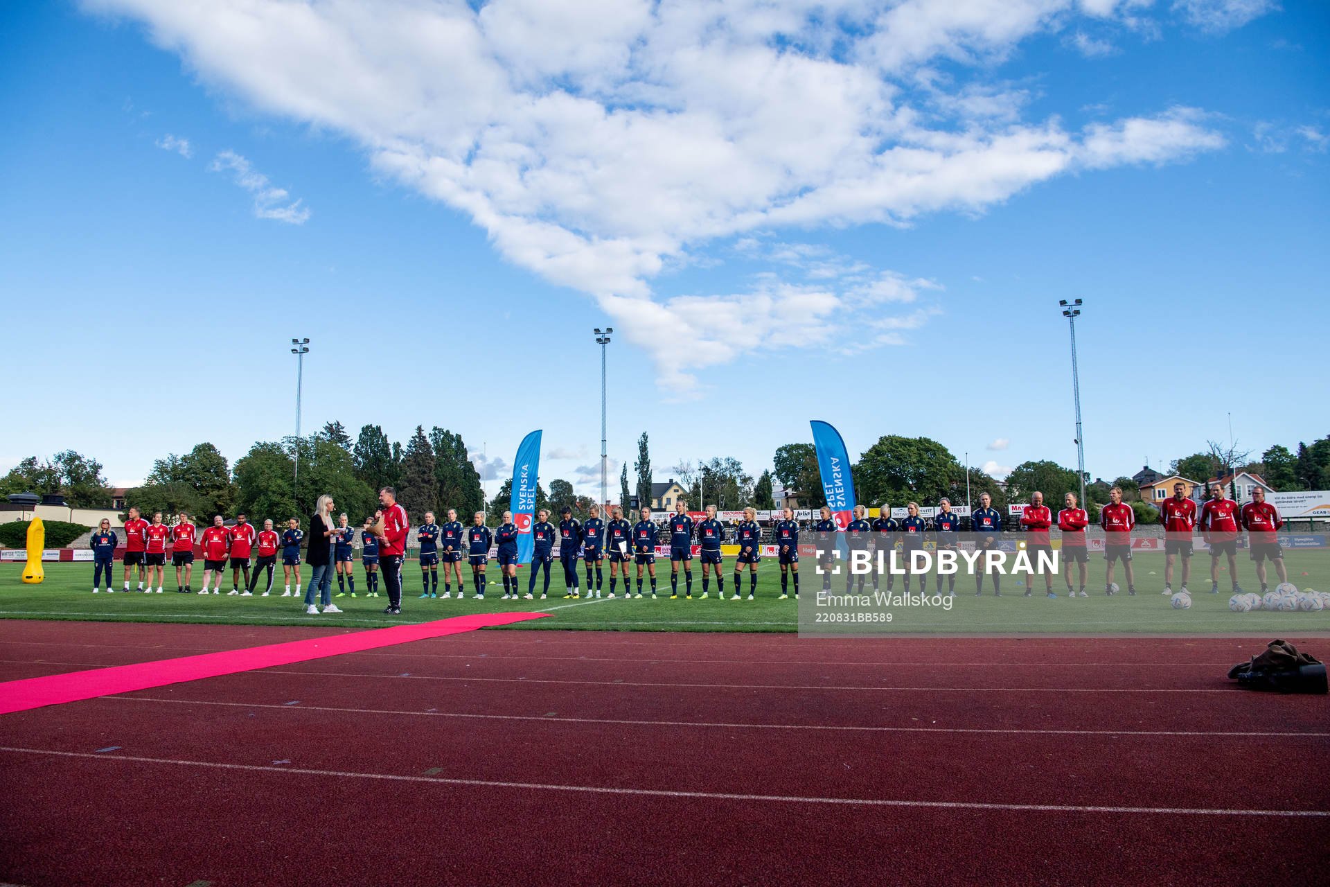 The players and staff of Sweden