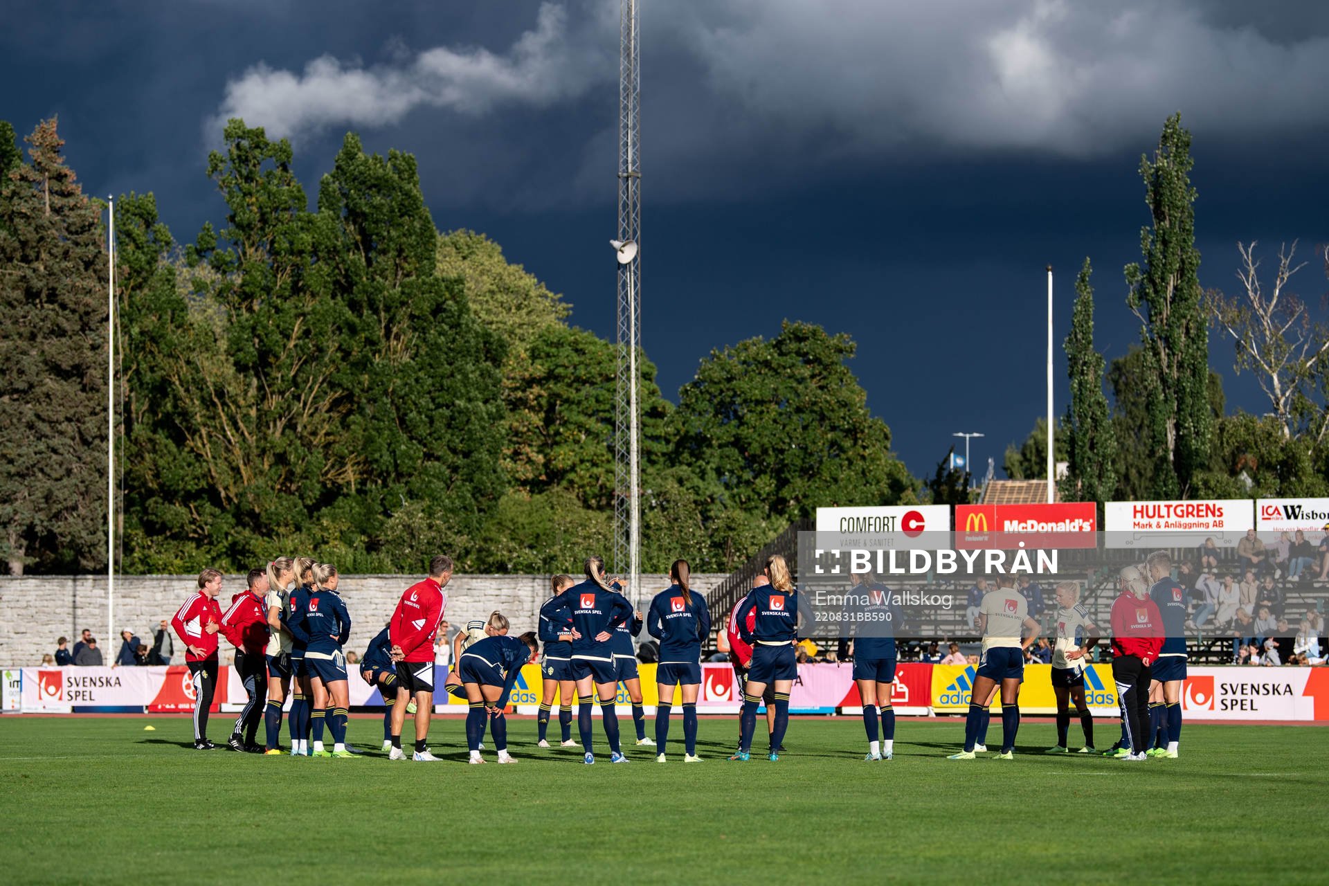 The players of Sweden