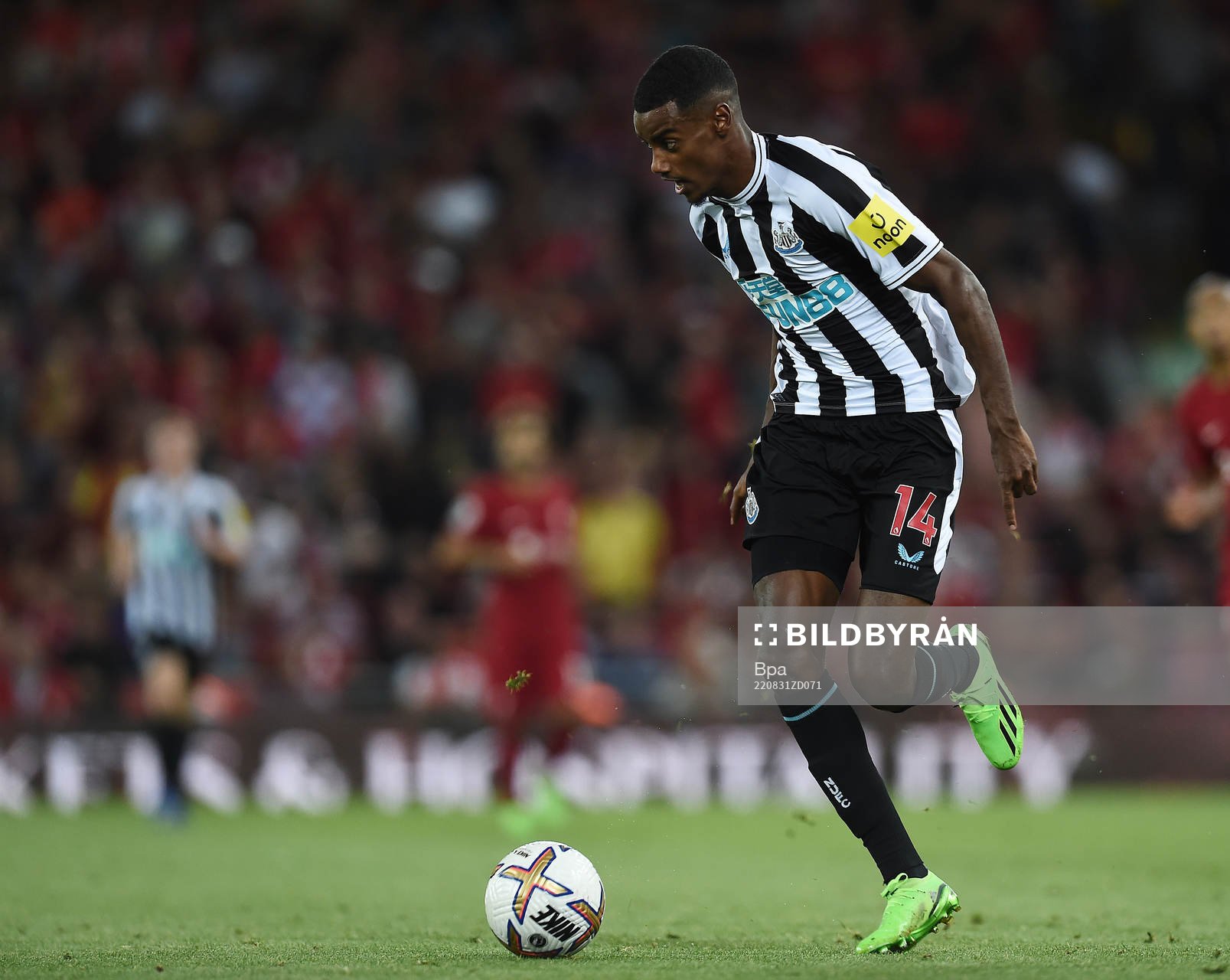 Alexander Isak of Newcastle United
