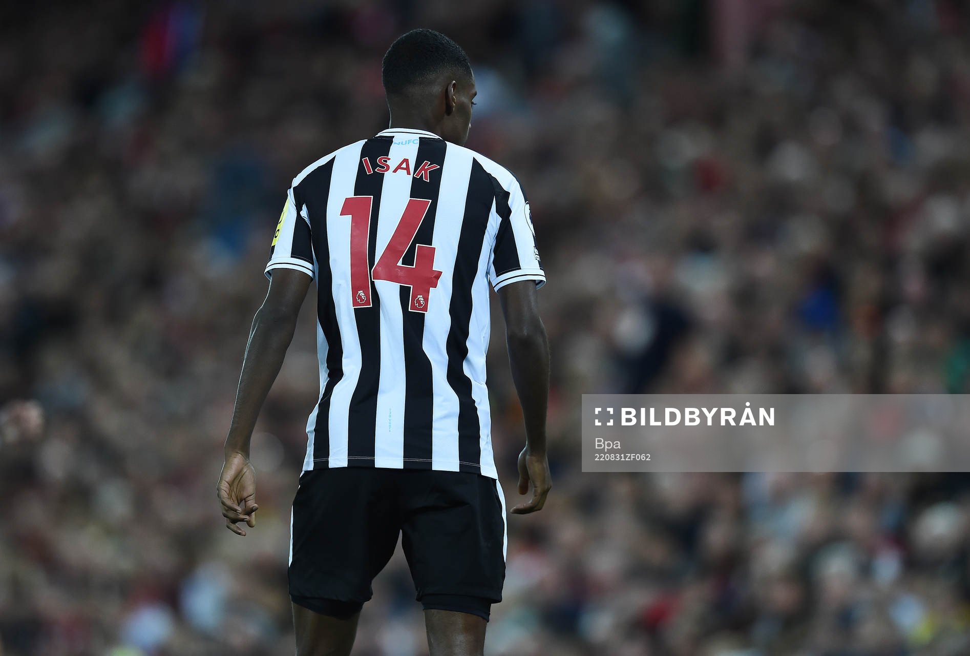 Alexander Isak of Newcastle United during the Premier League match between Liverpool and Newcastle United on August 31 2022 in Liverpool.