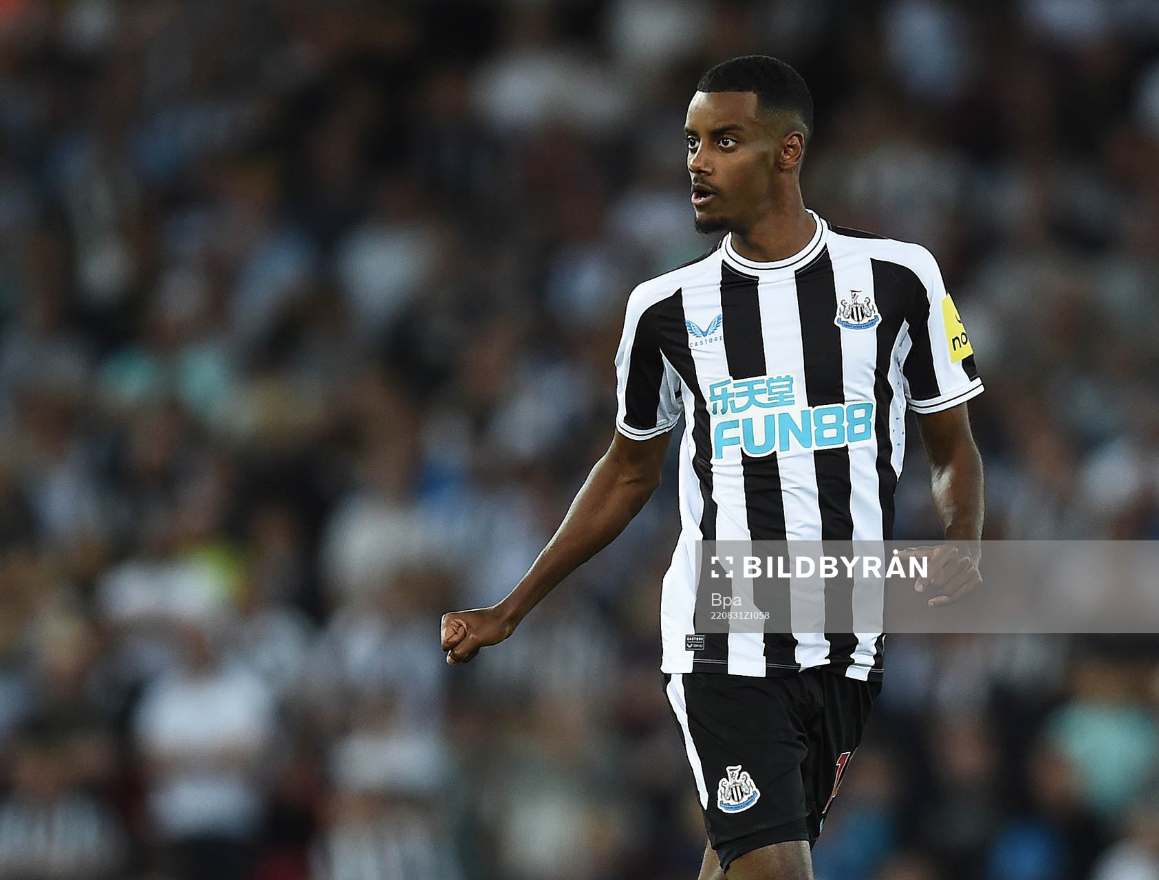 Alexander Isak of Newcastle United