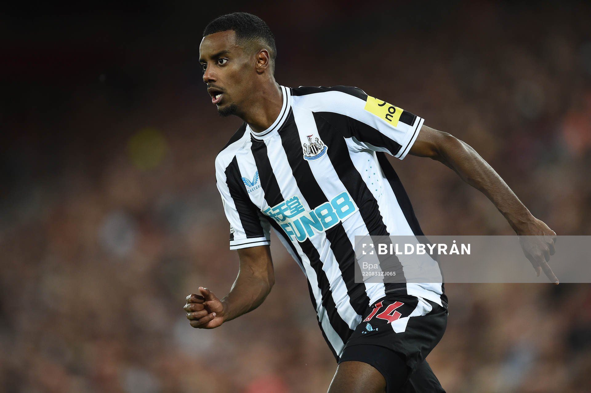 Alexander Isak of Newcastle United