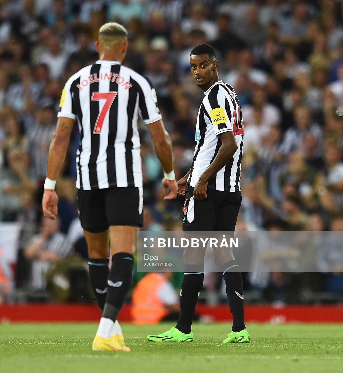 Joelinton and Alexander Isak of Newcastle United celebrates