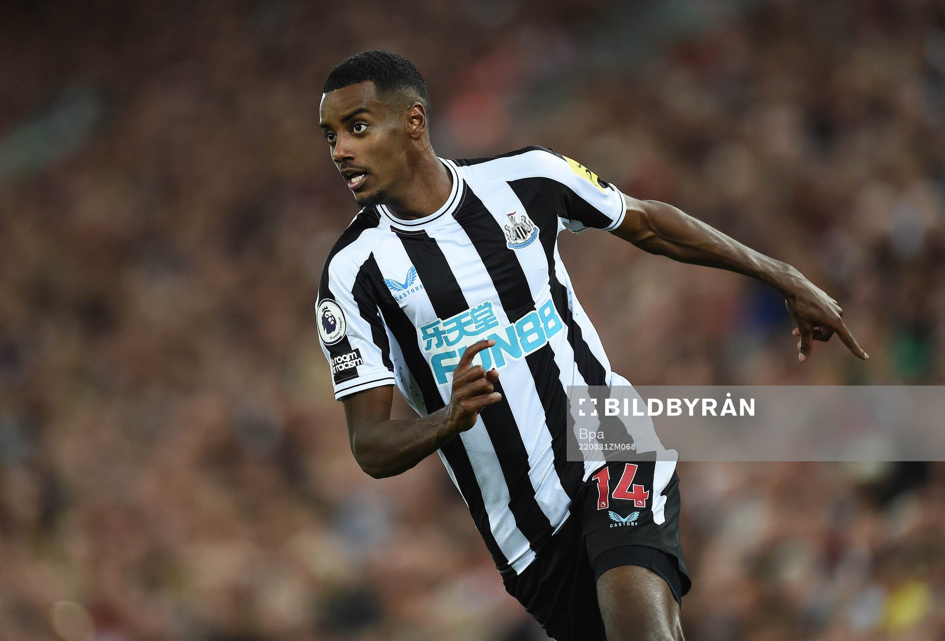 Alexander Isak of Newcastle United