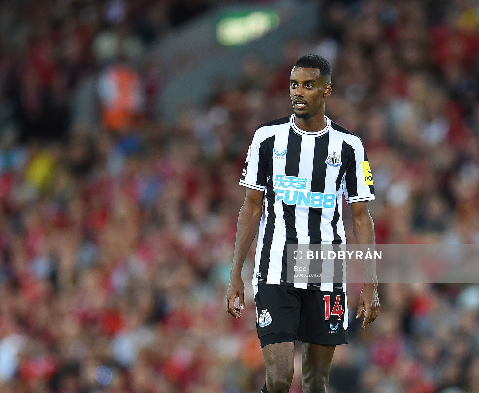 Alexander Isak of Newcastle United