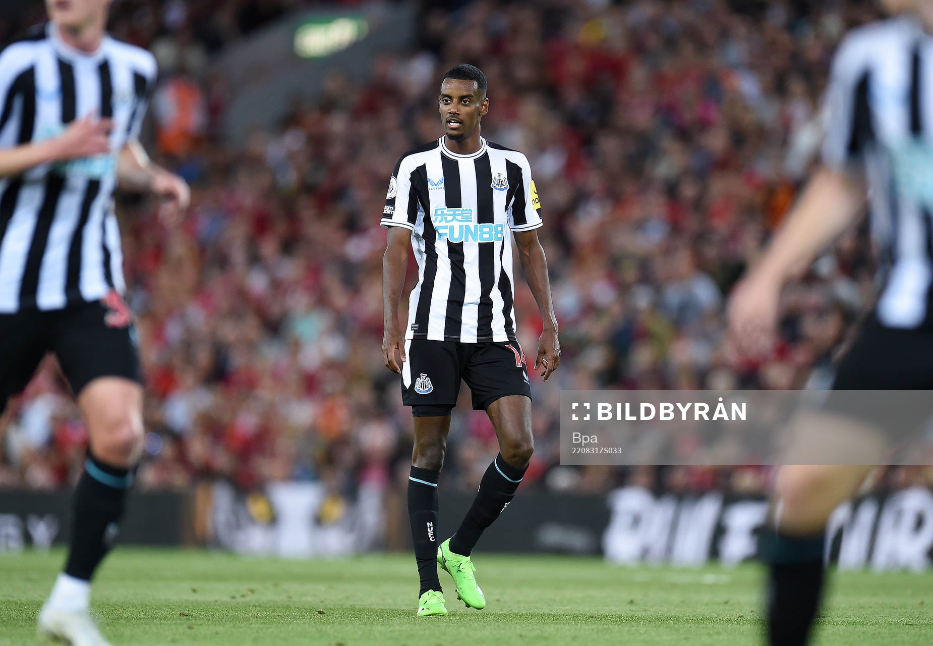 Alexander Isak of Newcastle United