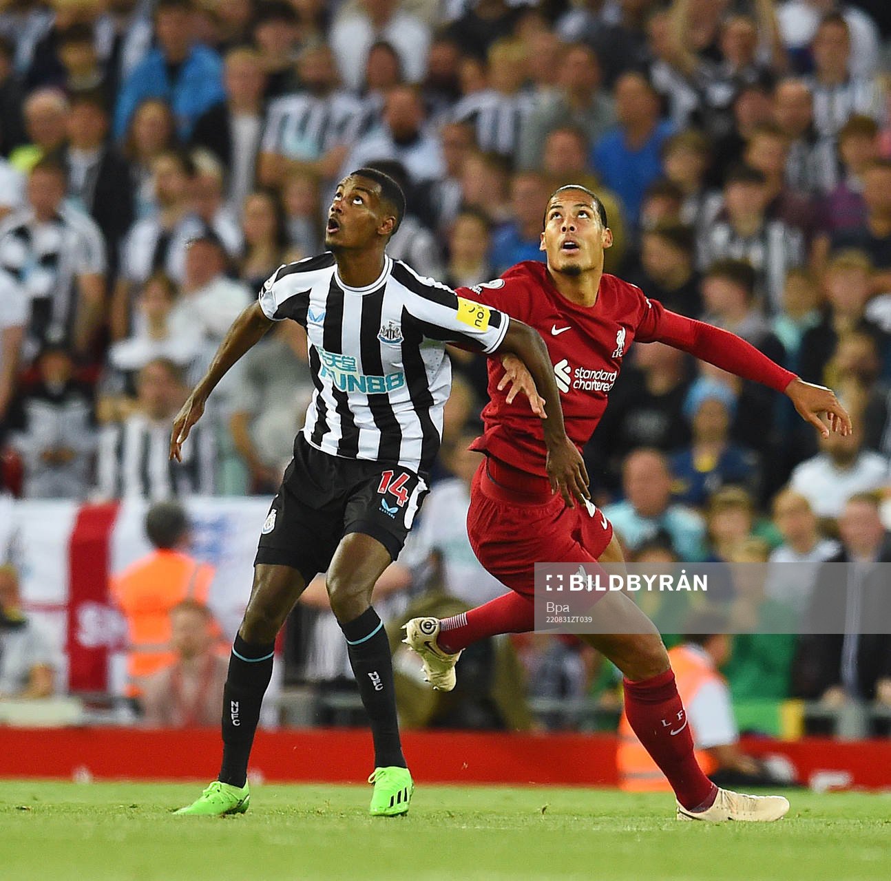 Alexander Isak of Newcastle United and Virgil van Dijk of