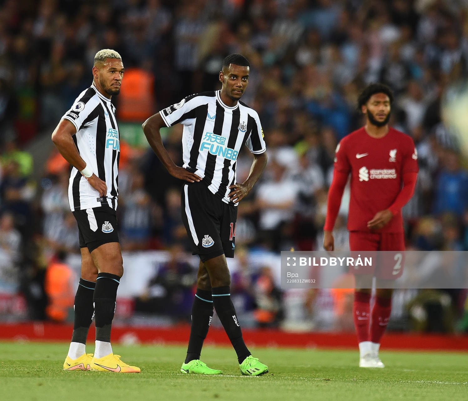 Joelinton and Alexander Isak of Newcastle United celebrates