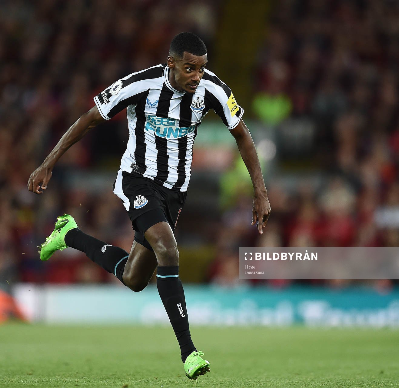 Alexander Isak of Newcastle United