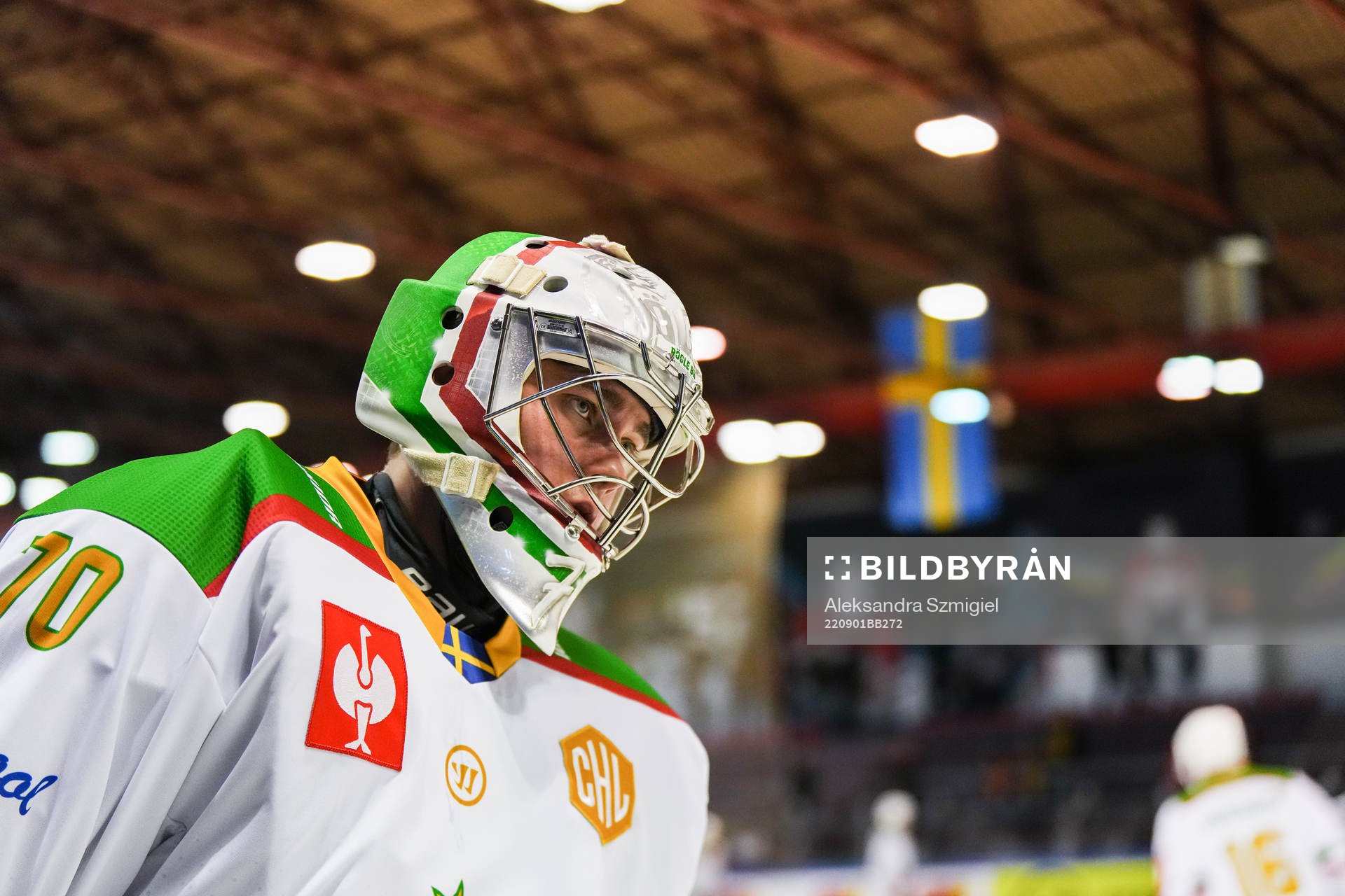 Goalkeeper Calle Clang of Rögle