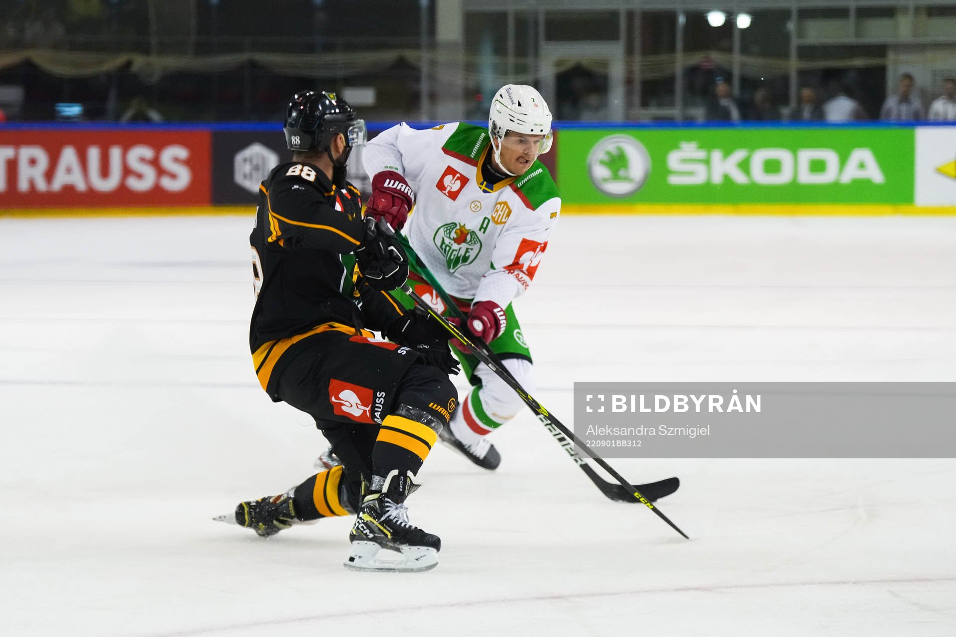 Erlend Lesund of Rögle